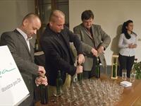 BRNĚNSKÁ RŮŽE 2011 –  fotogalerie ze soutěže